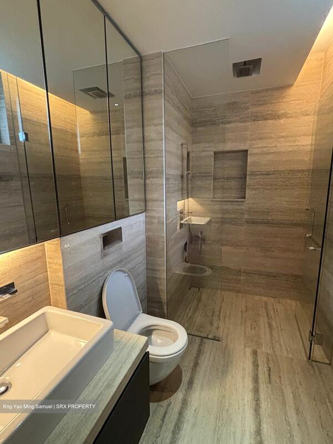 White House Park (D10), Condominium #509229651